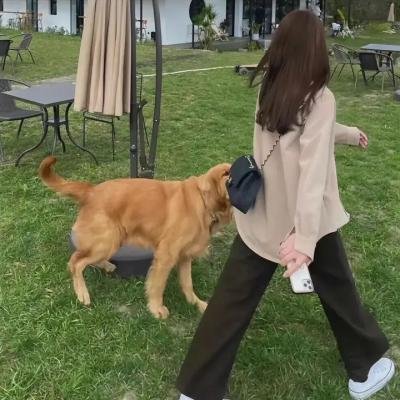 哈里斯太太
